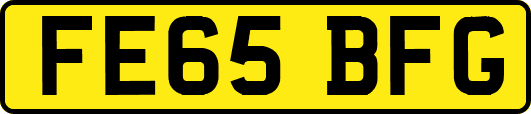 FE65BFG