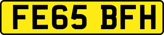 FE65BFH