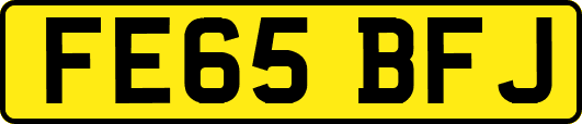 FE65BFJ