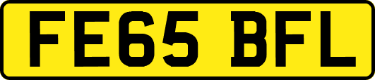 FE65BFL
