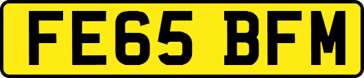 FE65BFM