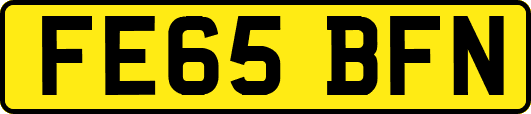 FE65BFN