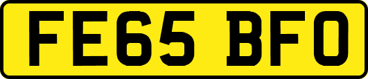 FE65BFO