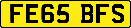FE65BFS