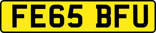 FE65BFU