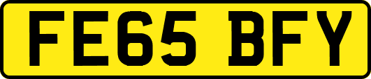 FE65BFY
