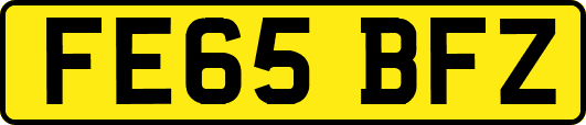 FE65BFZ