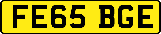 FE65BGE