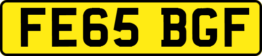FE65BGF