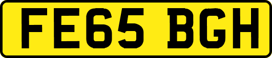 FE65BGH