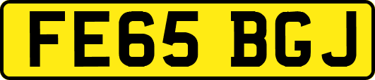 FE65BGJ