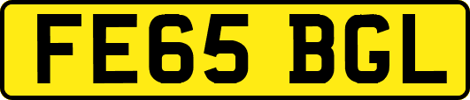 FE65BGL