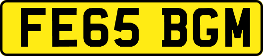 FE65BGM