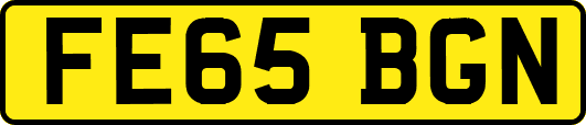 FE65BGN