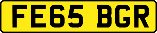 FE65BGR