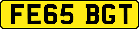 FE65BGT