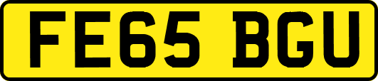 FE65BGU