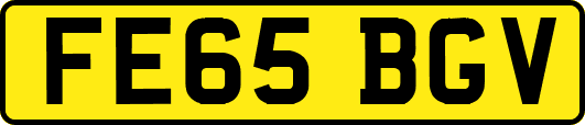 FE65BGV