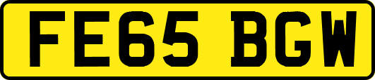 FE65BGW