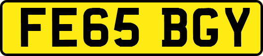FE65BGY