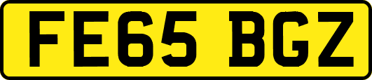 FE65BGZ