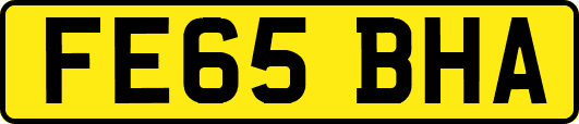 FE65BHA
