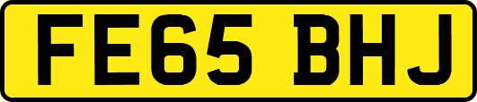 FE65BHJ