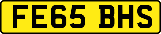 FE65BHS