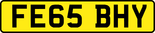 FE65BHY