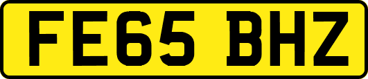 FE65BHZ