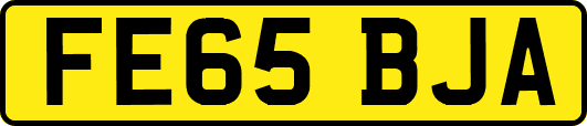 FE65BJA
