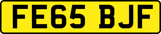 FE65BJF