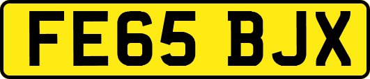 FE65BJX