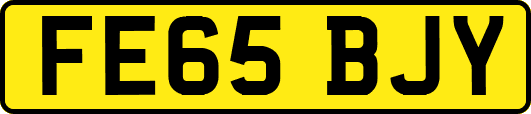 FE65BJY