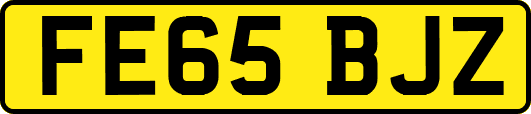 FE65BJZ