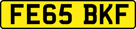FE65BKF