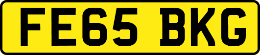 FE65BKG