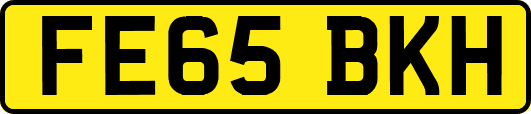 FE65BKH