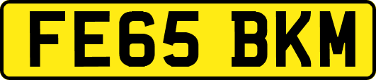 FE65BKM