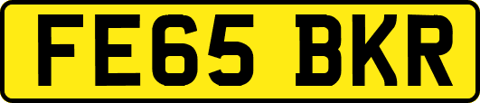FE65BKR