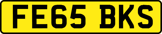 FE65BKS