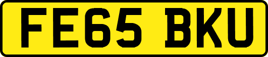 FE65BKU