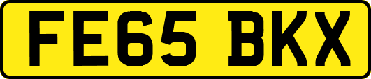 FE65BKX