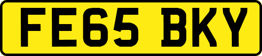FE65BKY