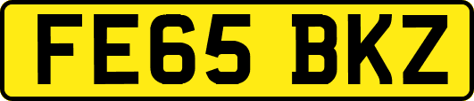 FE65BKZ