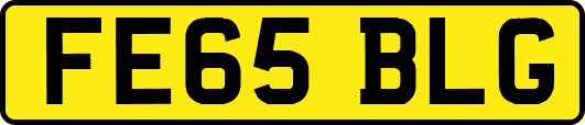 FE65BLG
