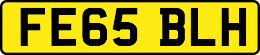 FE65BLH