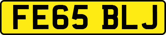 FE65BLJ