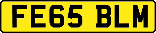 FE65BLM