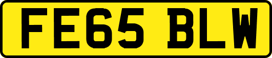 FE65BLW